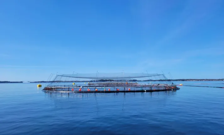 Infraestructura dedicada a la acuicultura con fines de investigación del microbioma 