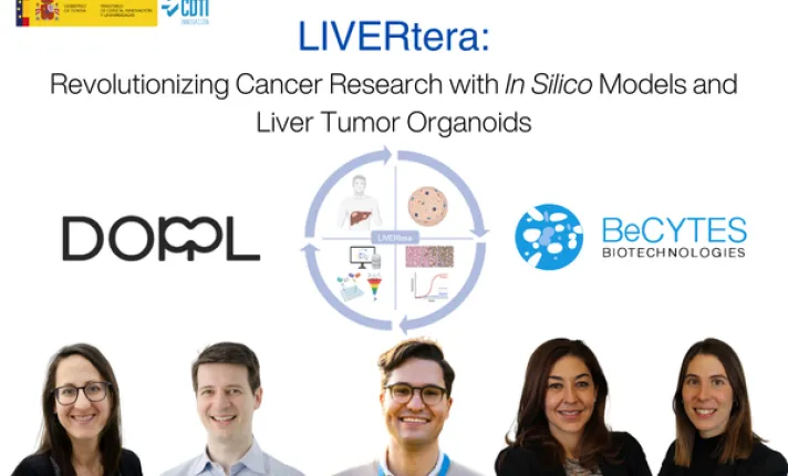 Livertera Newsletter