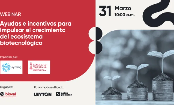 Webinar impartido por Ayming sobre ayudas a la financiación