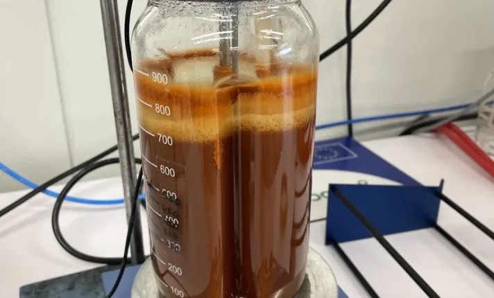 Enzymatic polymerization reaction of ferulic acid in a bioreactor.