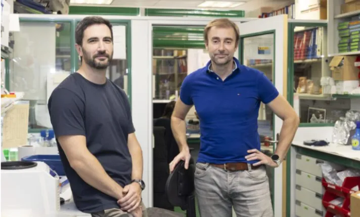 Los investigadores del CNIO Miguel Quintela, coordinador del proyecto (dcha.), y Leonardo Garma. /Laura M. Lombardía. CNIO