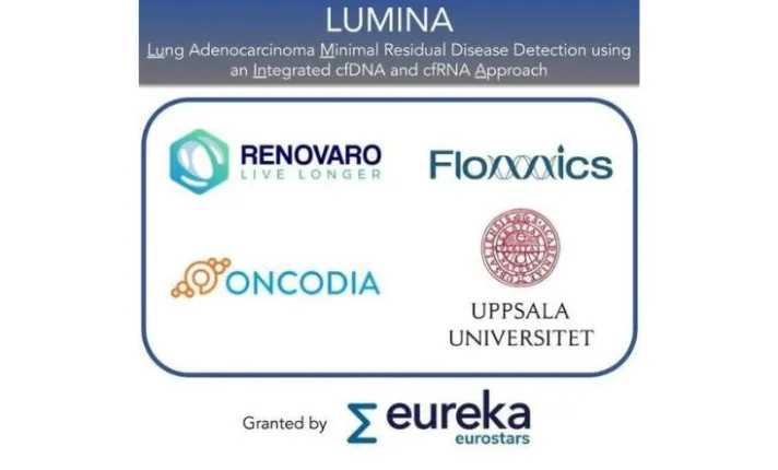 Banner con los logos de las empresas participantes en el proyecto LUMINA