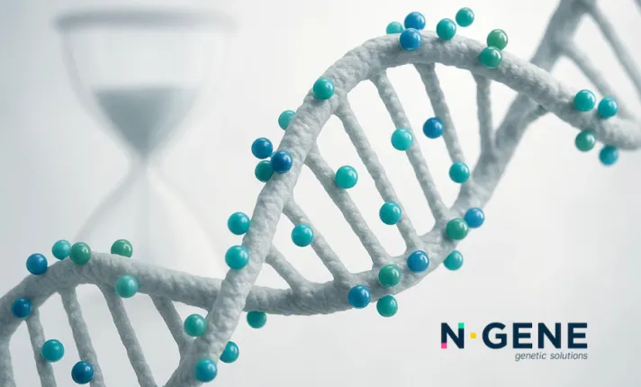 Secuencia de ADN junto a un reloj para representar la genética aplicada al envejecimiento