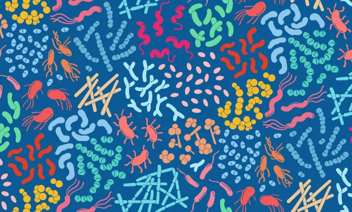  La revolución de la microbiota