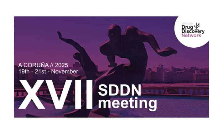 Banner del XVII SDDN Meeting 2025