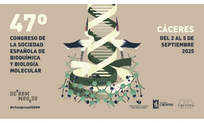 47º Congreso de la SEBBM 