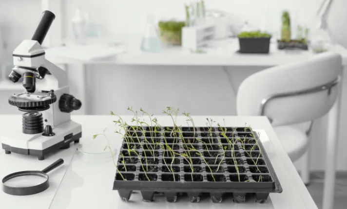 Laboratorio con muestras de plantas