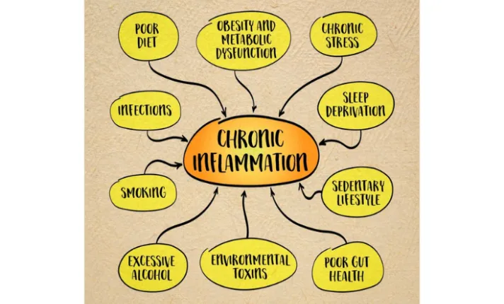 La Inflamación Crónica