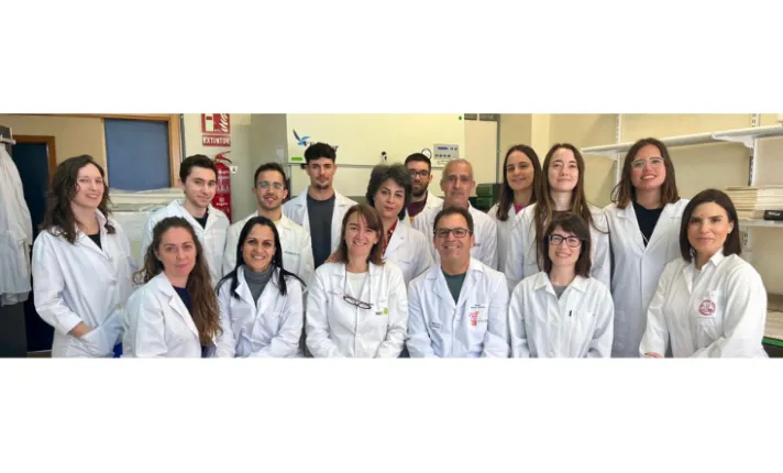 Grupo investigación CIBER