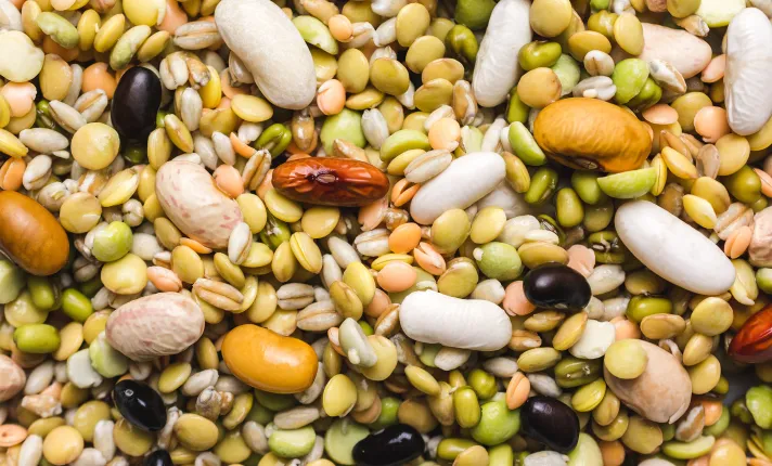 Diferentes tipos de legumbres