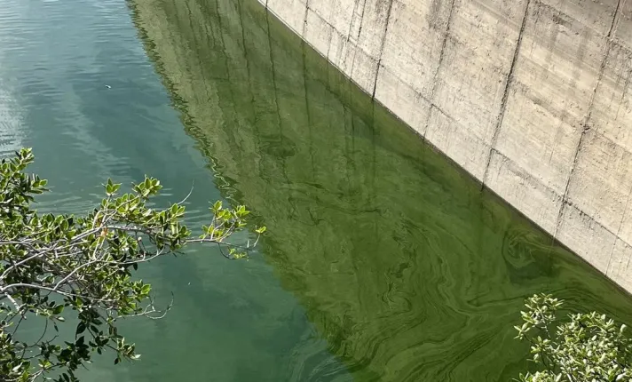 IQS lidera un proyecto para blindar la calidad del agua potable ante la proliferación de cianobacterias causada por la sequía