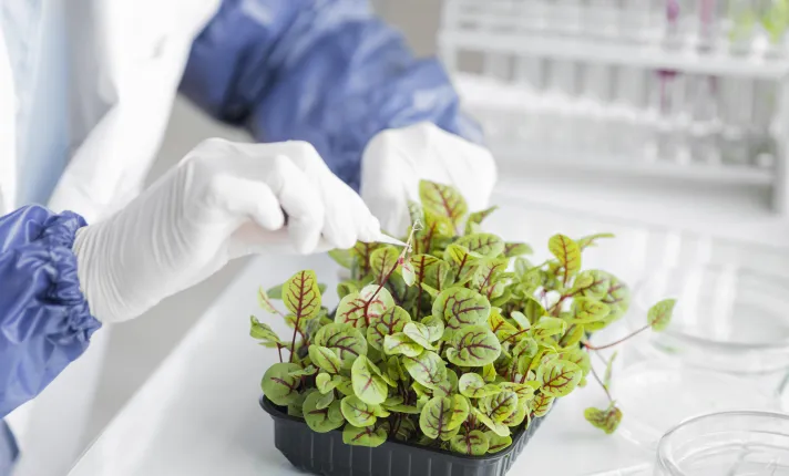 Científico analizando muestras de plantas en un laboratorio