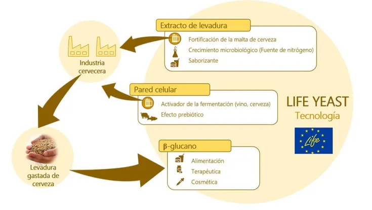 infografia del proyecto LIFE YEAST