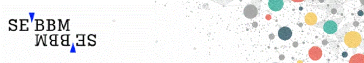 Sebbm Noche Europea Investigadores