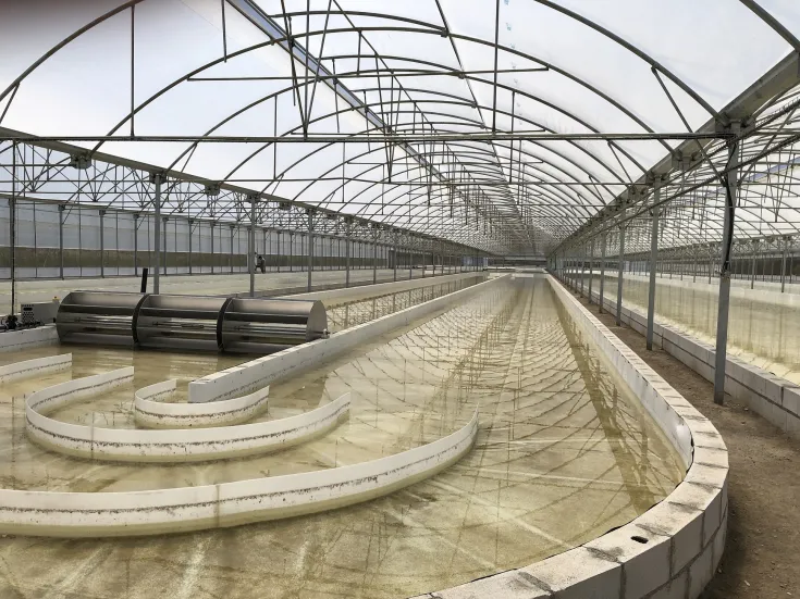 Biorizon Biotech anuncia la entrada a pleno funcionamiento de su nueva planta de producción de biomasa a partir de microalgas