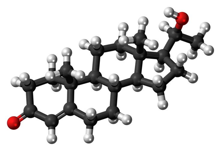 Programa "Advanced Biotech Grant Program"