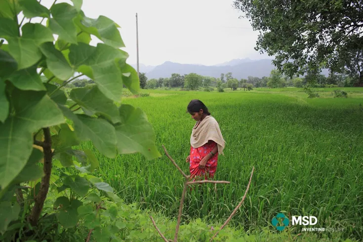 Informe Responsabilidad Corporativa de MSD