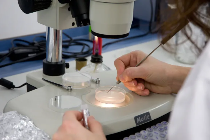 nutricion personalizada