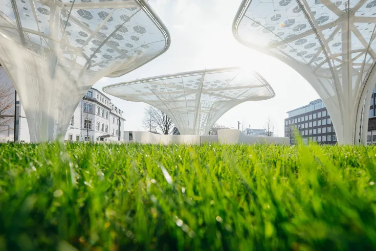 MErck sostenibilidad comité