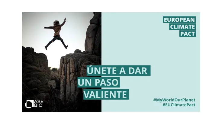 Amigos del pacto