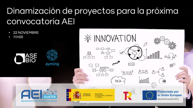 Sesión informativa próxima convocatoria del Programa de Apoyo a las Agrupaciones Empresariales Innovadoras (AEI)