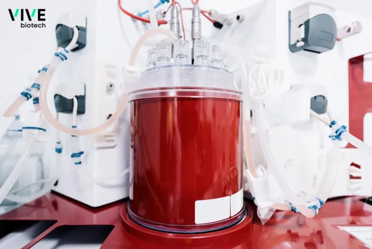 Biorreactores empleados en VIVEbiotech
