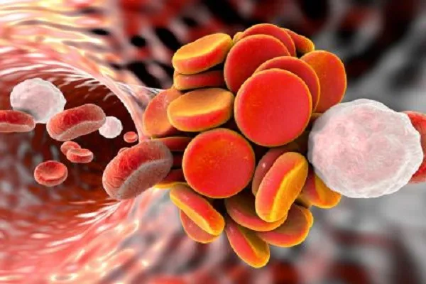 Diciembre23_ASEBIO-bcnhealth