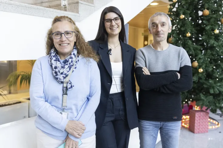 SARA MELLID_TESIS_BAJA_LML_