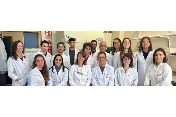 Grupo investigación CIBER