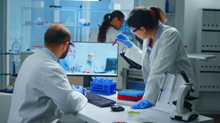 Investigadores 