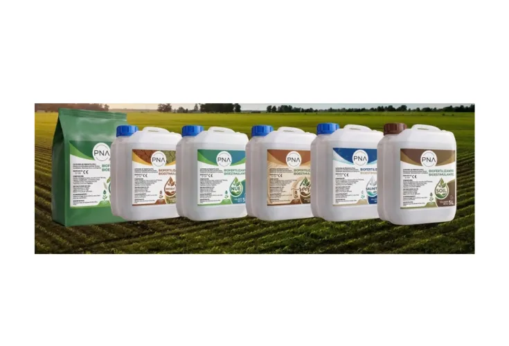 Phoenix Solutions y el Grupo Necton crean PNA