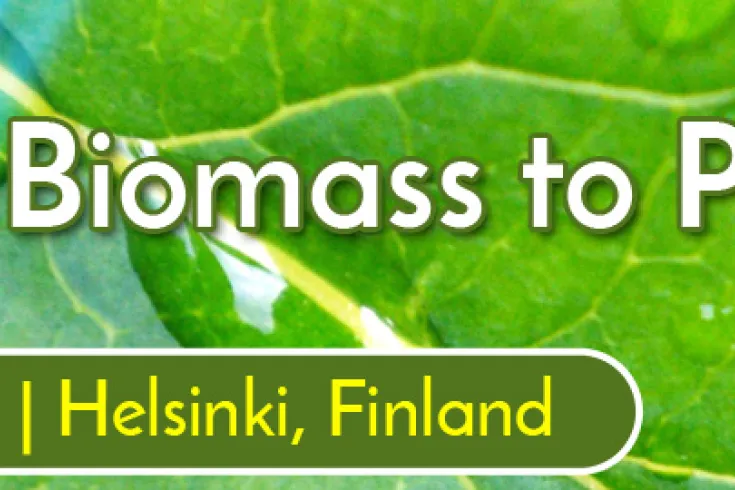 European Biomass to Power Conference 2019