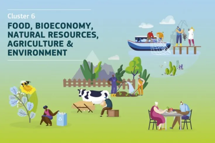 Cluster-Bioeconomia-AseBio