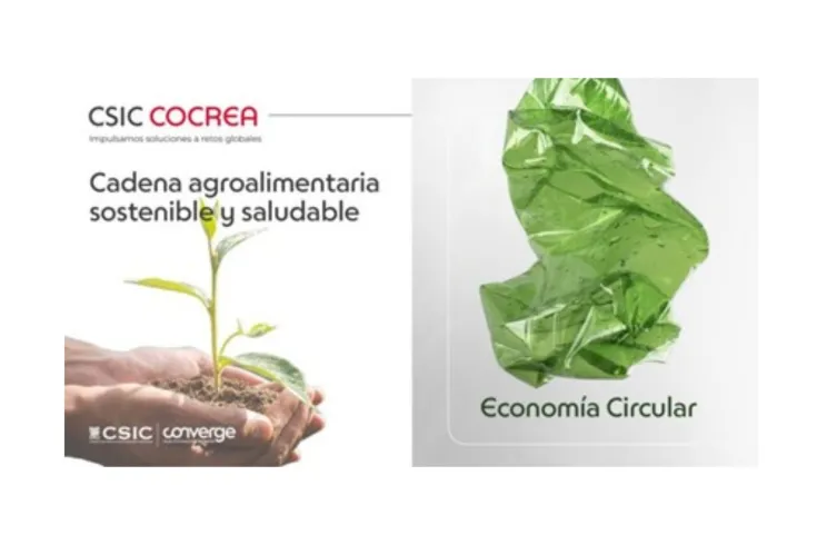 Cartel del Webinar informativo del programa CSIC COCREA