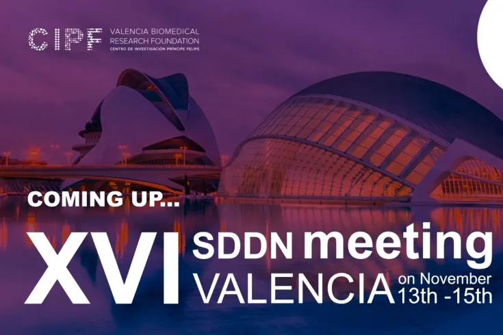 Banner de la XVI reunión de la Red Española de Descubrimiento de Fármacos (SDDN) 