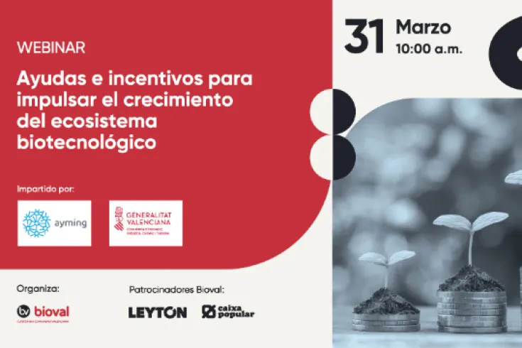 Webinar impartido por Ayming sobre ayudas a la financiación