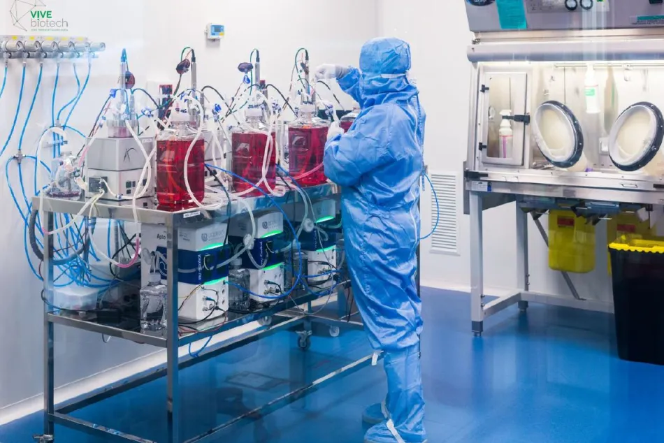 VIVEbiotech realiza una ampliación de capital de 3,5 millones de euros para completar su plan de ampliación