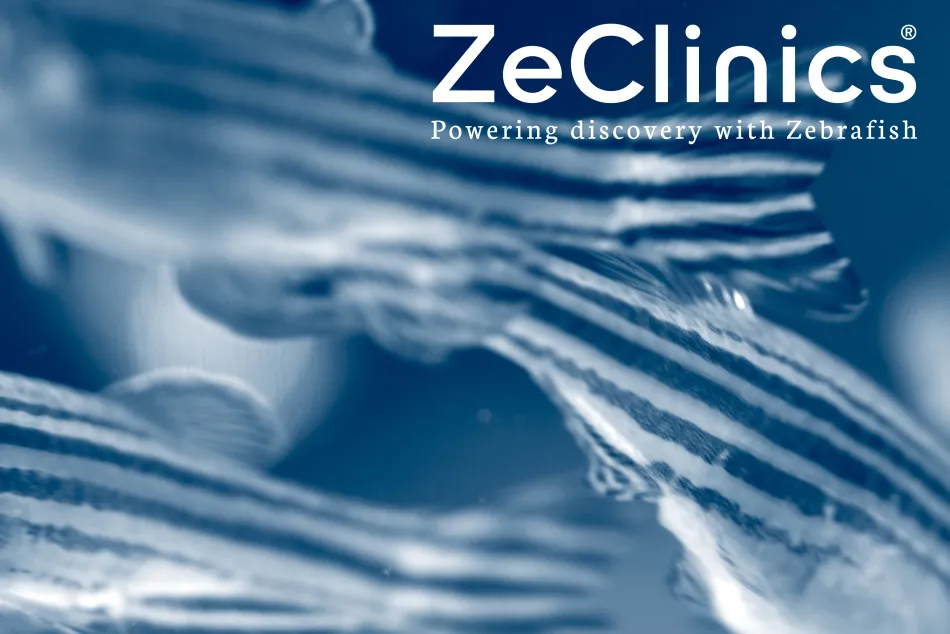 ZeClinics Oncologia