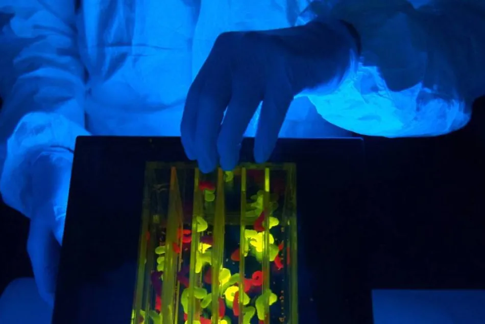 Tecnología Algenex basada en insectos para acelerar la producción de nuevas vacunas