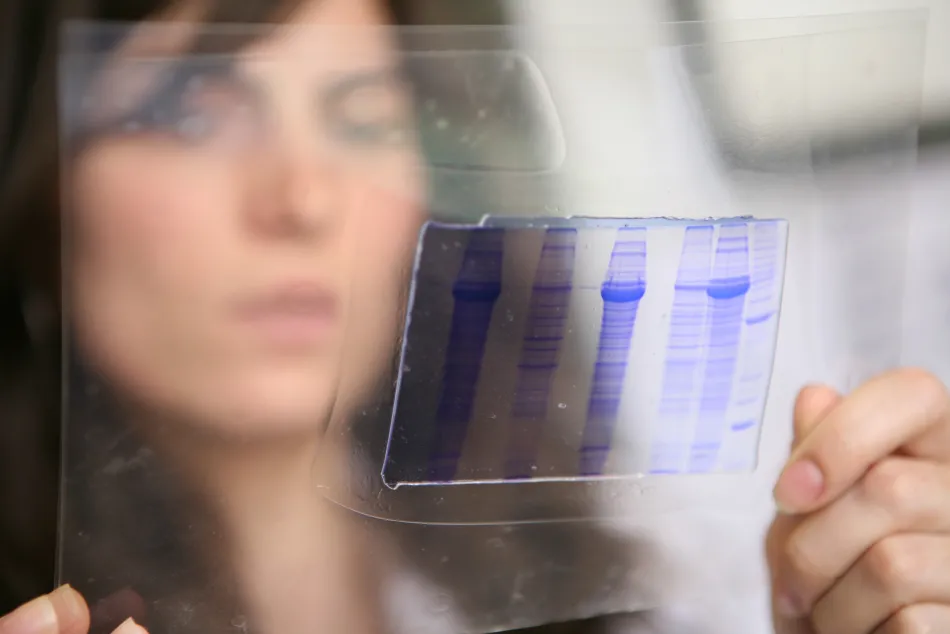 Algenex impulsa la creación de una plataforma  tecnológica de producción industrial de vacunas  en España