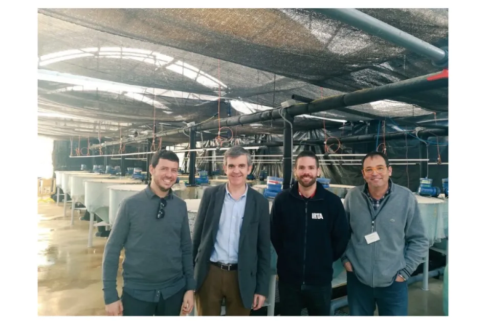Mejora en la producción de salmón atlántico a través de compuestos bioactivos procedentes de la biomasa del olivo