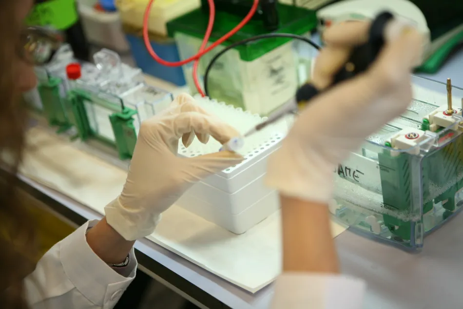 Algenex obtiene 470.000 euros del CDTI para desarrollar productos para el control y la prevención del COVID-19