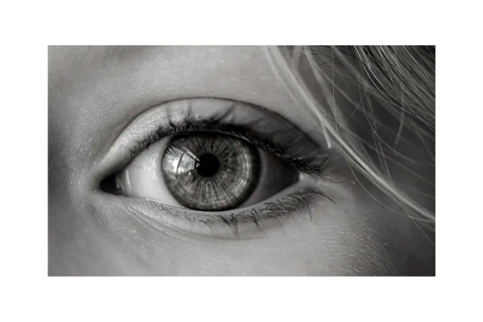 SparingVision Raises €44.5 Million and Appoints Stéphane Boissel as Chief Executive Officer
