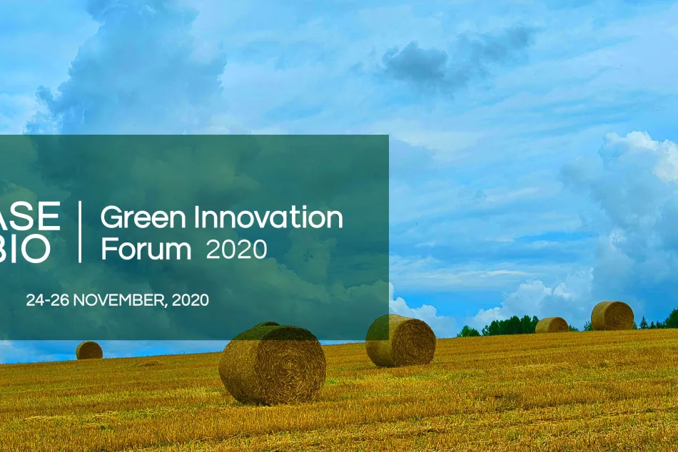 logo Green 
