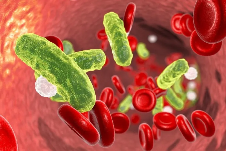 BCN HEALTH publica un estudio evaluando la situación epidemiológica y el coste de la sepsis en España  