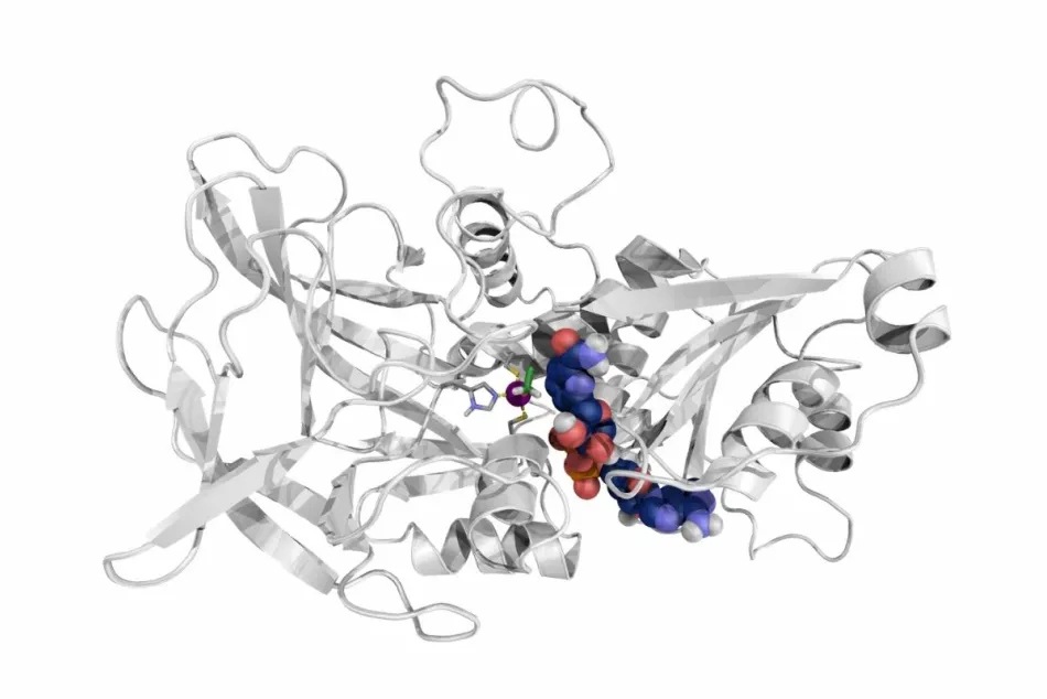 Alcohol dehydrogenase