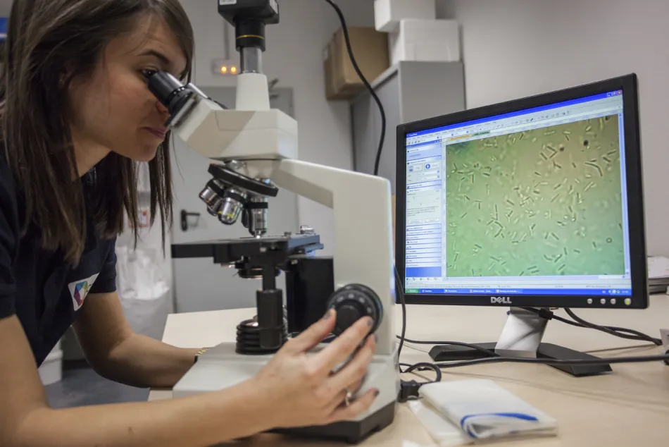 industria verde CENER