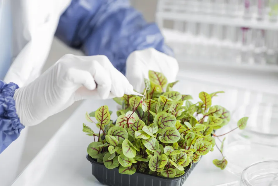 Científico analizando muestras de plantas en un laboratorio